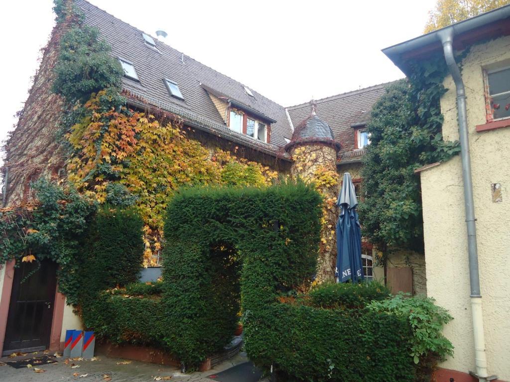 Hotel Burg-Stuben Mainz Kültér fotó